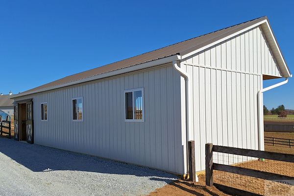 Run In Shed with Door and Windows